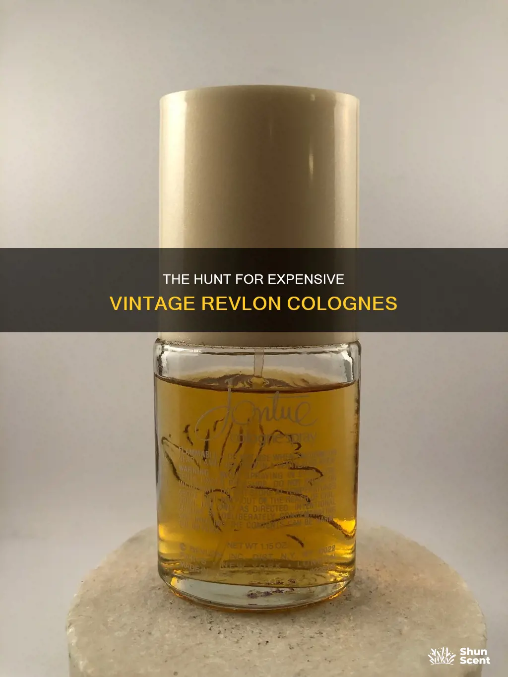 is there an expensive vintage revlon cologne