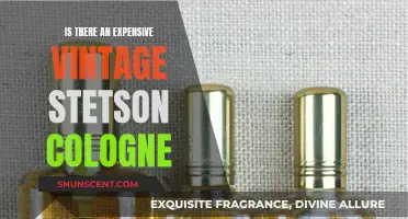 Vintage Stetson Cologne: An Expensive Fragrance Find?