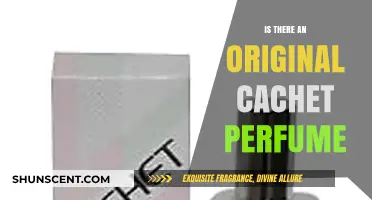 Exploring the Authenticity of Original Cachet Perfume: Fact or Fiction?