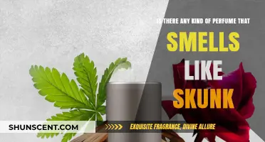 Skunk Smell: Can Perfumes Mimic the Odor?