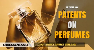 Exploring Patent Protections: Are Perfumes Legally Safeguarded by Patents?