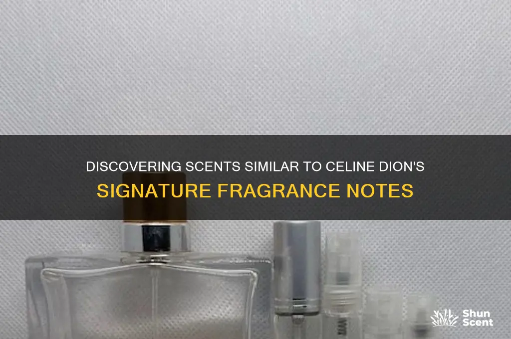 is there any perfume like celine dion notes