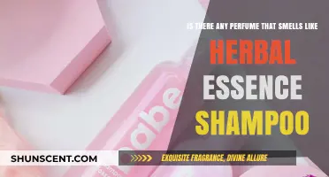 Herbal Essence Scent: Which Perfumes Match the Shampoo?