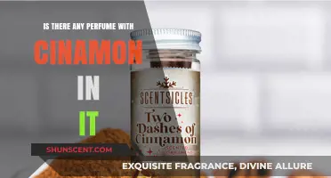 Discover Cinnamon-Infused Perfumes: Warm, Spicy Scents to Try Now