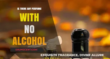 Alcohol-Free Fragrances: Exploring Perfumes Without Alcohol for Sensitive Skin