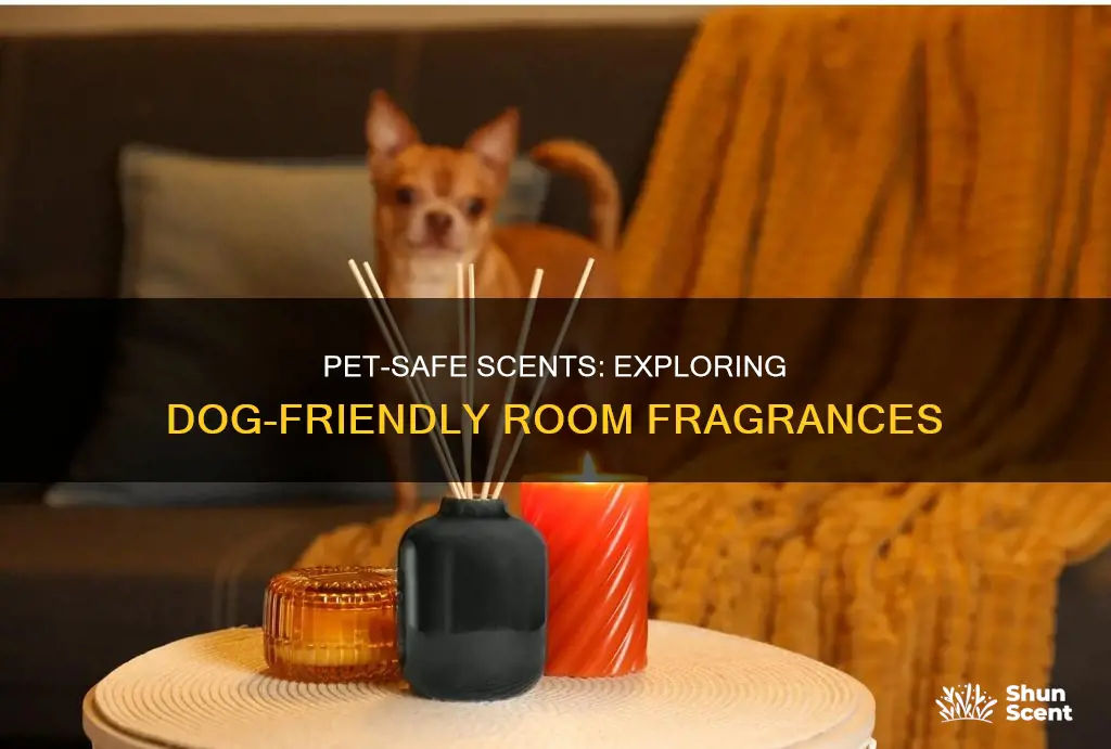 is there any room fragrance safe for my dog