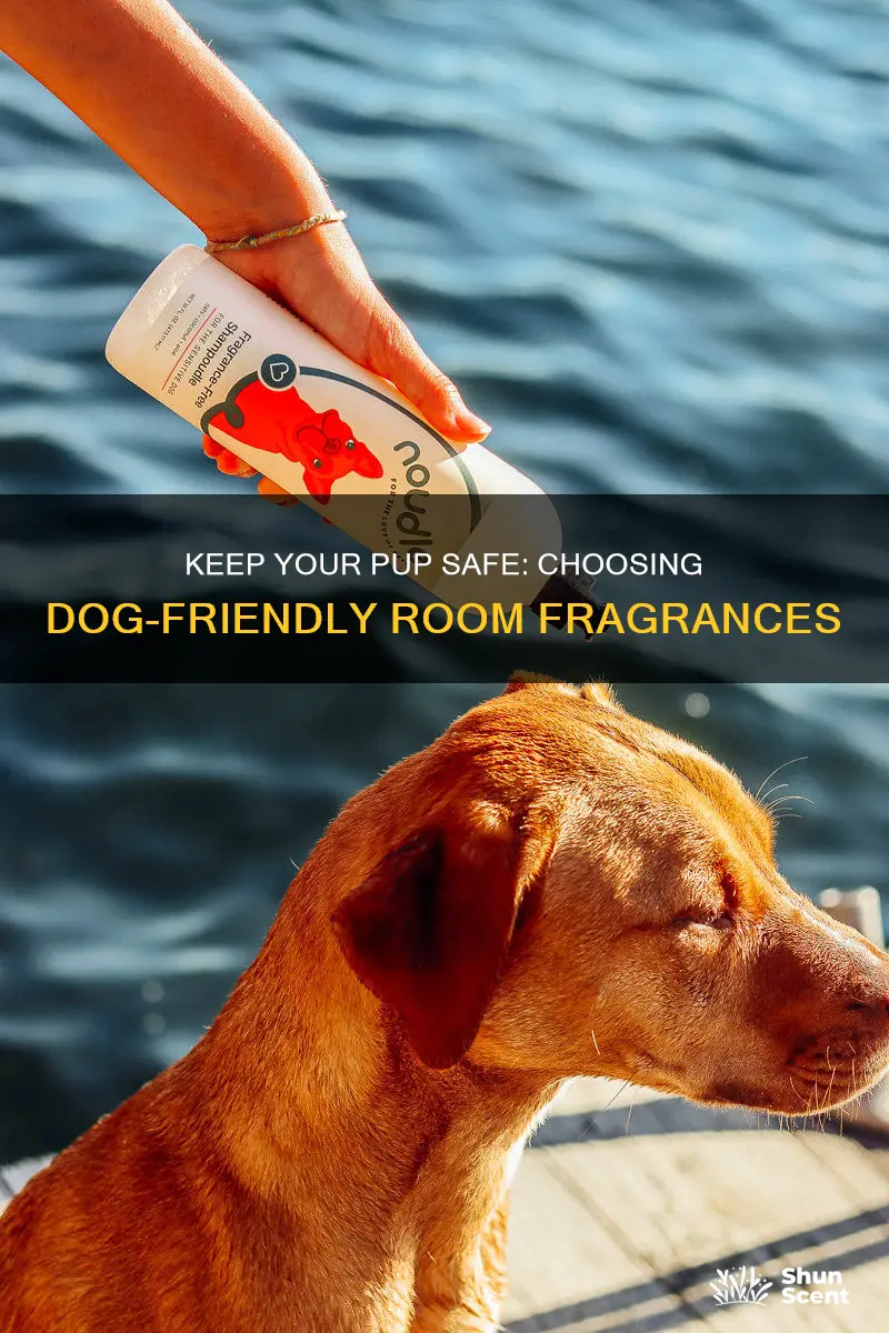is there any room fragrance safe for my dog