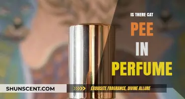 Unveiling the Truth: Cat Pee Notes in Perfumes Explained