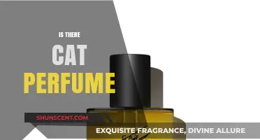 Can Cats Wear Perfume? Exploring Feline-Friendly Fragrance Options