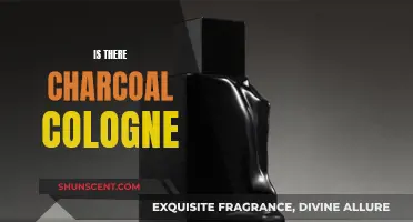 Charcoal Cologne: A Unique Scent for Men