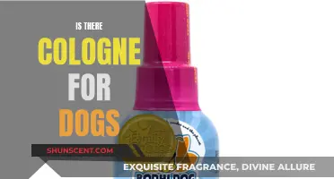 Colognes for Canines: Do Dogs Need Their Own Scents?