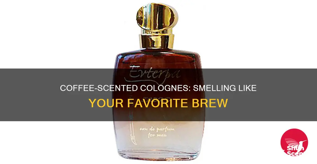 is there cologne that smells like coffee