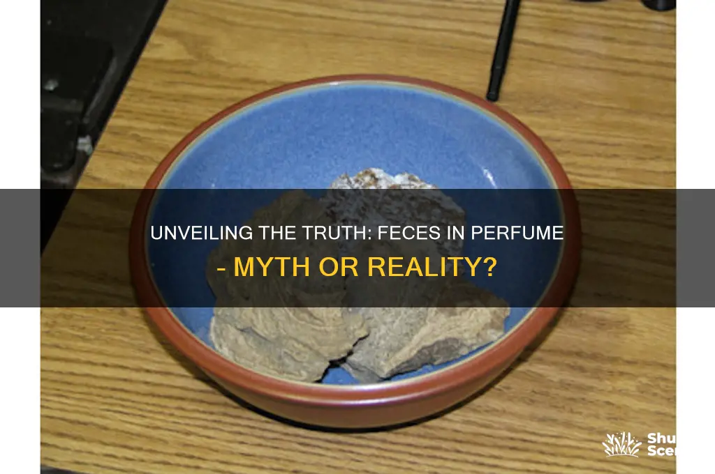 is there feces in perfume