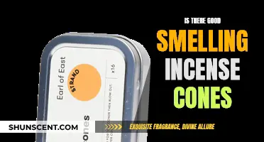 Incense Cones: Fragrance or Foul Odor?