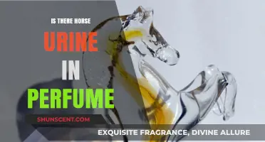 Unveiling the Truth: Horse Urine in Perfume - Fact or Fiction?