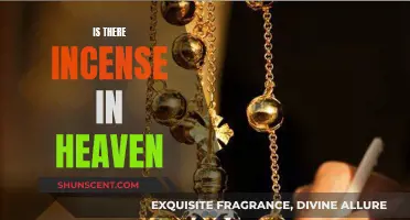 Incense in Heaven: A Fragrant Welcome to Paradise