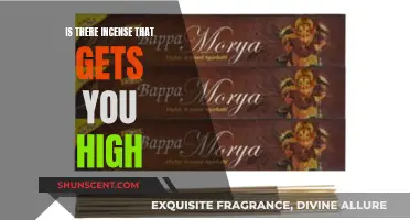 Incense and Aromatherapy: Getting High on Scents