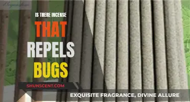 Incense Bug Repellents: What You Need to Know