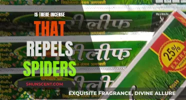 Incense to Keep Spiders Away: Natural Repellents for Your Home