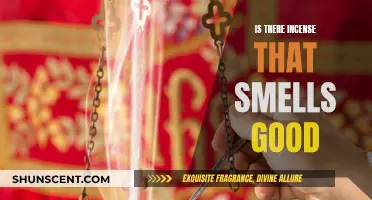 Incense Aromas: Finding the Perfect Fragrant Scents