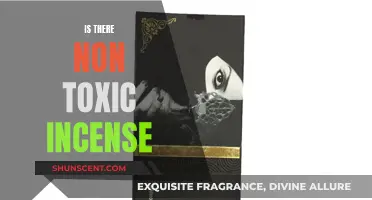 Explore Non-Toxic Incense Options for a Safe Fragranced Space