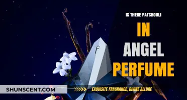 Does Angel Perfume Contain Patchouli? Unveiling the Scent's Ingredients