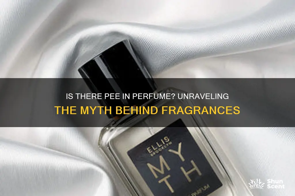 is there pee in perfume