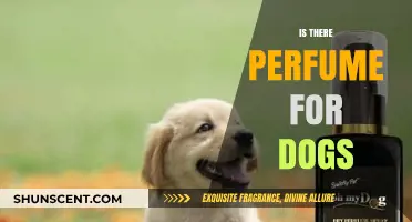 Can Dogs Wear Perfume?