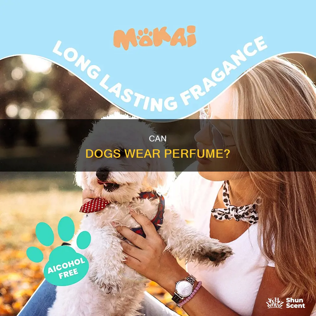 is there perfume for dogs