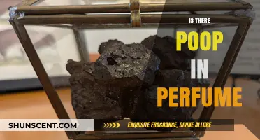 Unveiling the Truth: Is There Poop in Your Perfume?