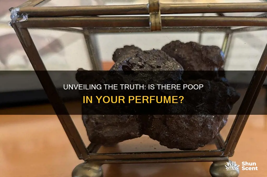 is there poop in perfume