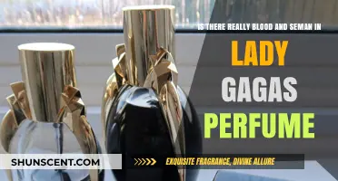 Lady Gaga's Perfume: Unraveling the Blood and Semen Rumors