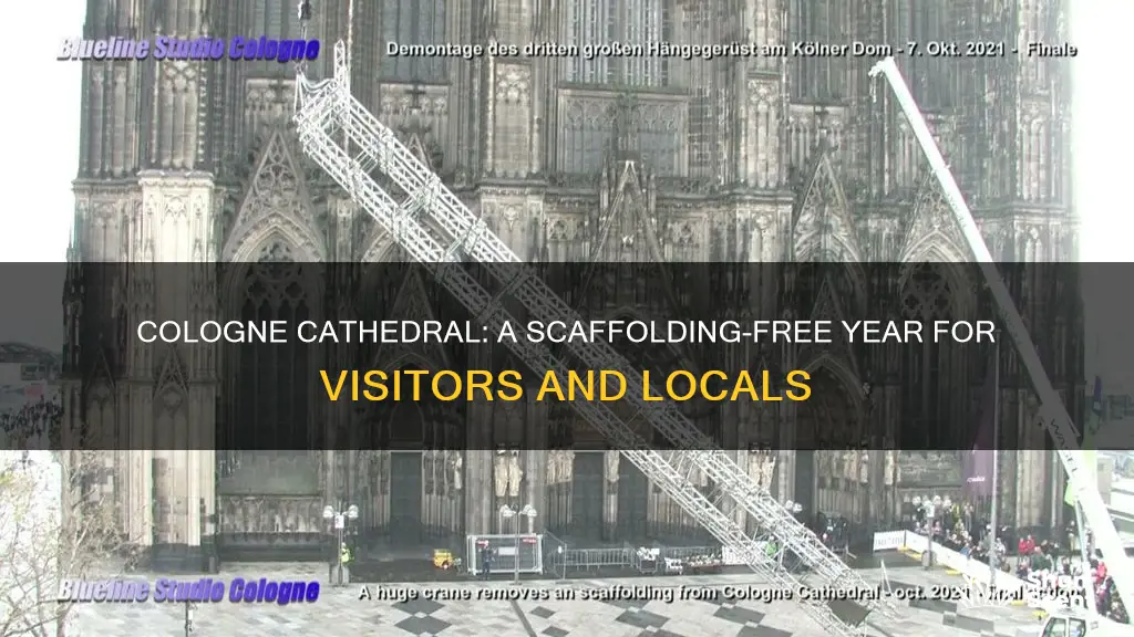 is there scaffolding on the cologne cathedral this year