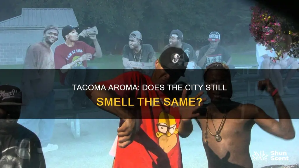 is there still a tacoma aroma