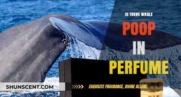 Whale Poop in Perfume: Unveiling the Surprising Truth Behind Fragrances