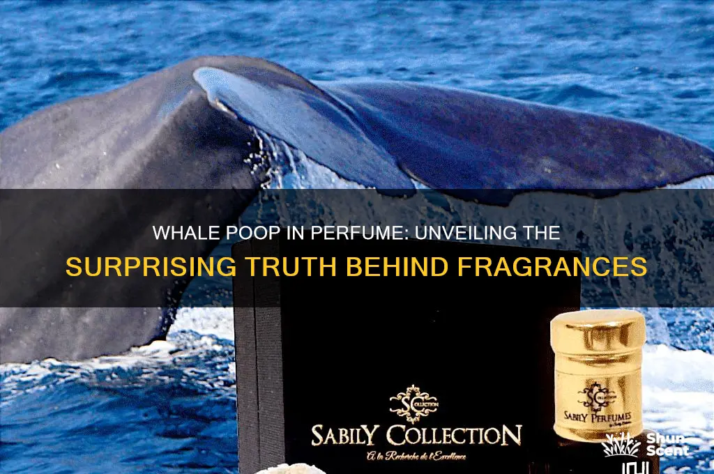 is there whale poop in perfume