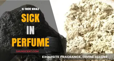Whale Sick in Perfume: Unveiling the Truth Behind Ambergris