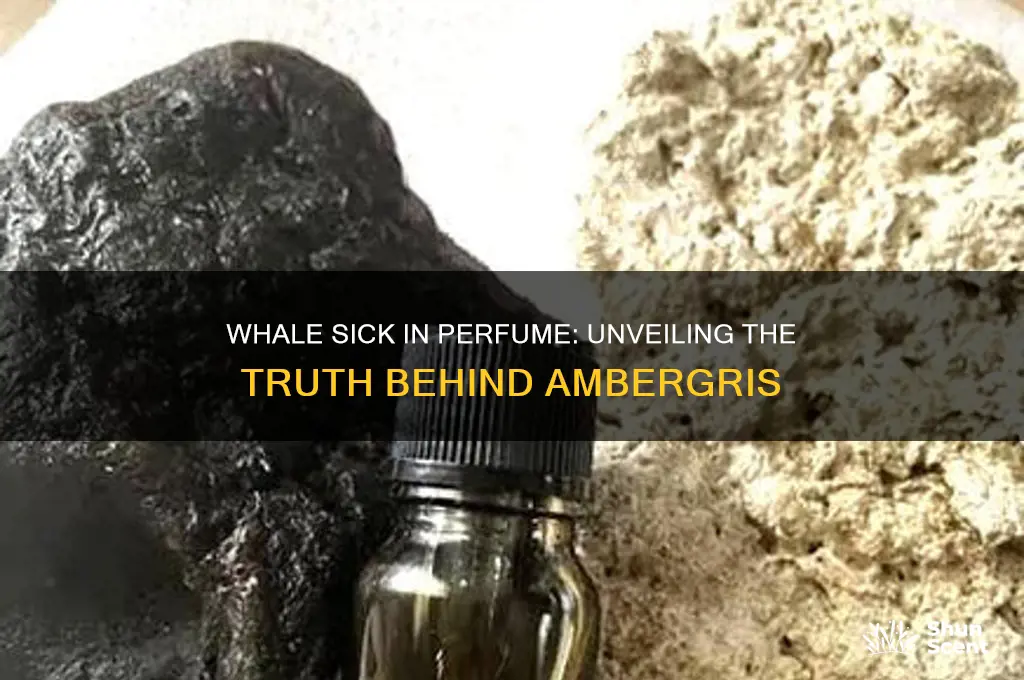 is there whale sick in perfume