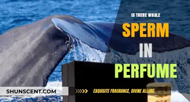 Whale Sperm in Perfume: Myth or Reality? Unveiling the Truth