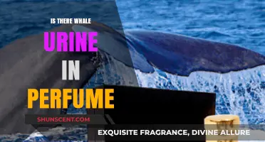 Whale Urine in Perfume: Myth or Reality? Unveiling the Truth