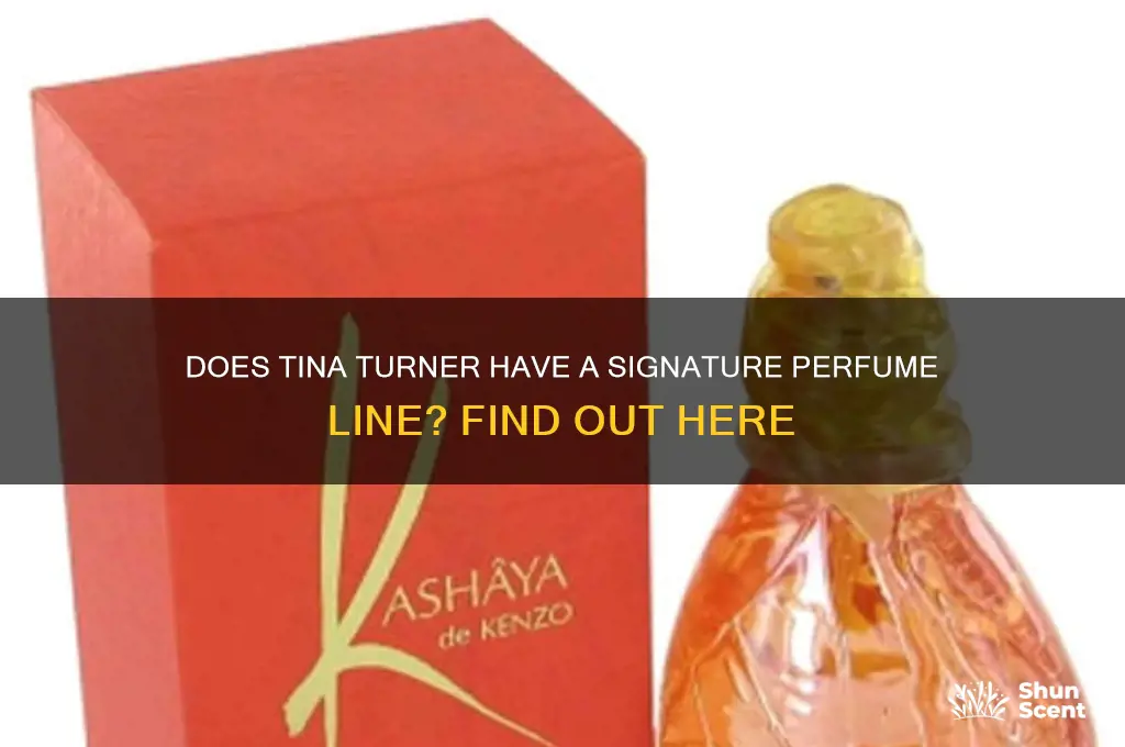 is tina turner have a perfume line