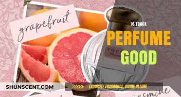 Is Tocca Perfume Worth It? A Honest Review and Scent Guide