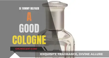 The Best Tommy Hilfiger Colognes for Men