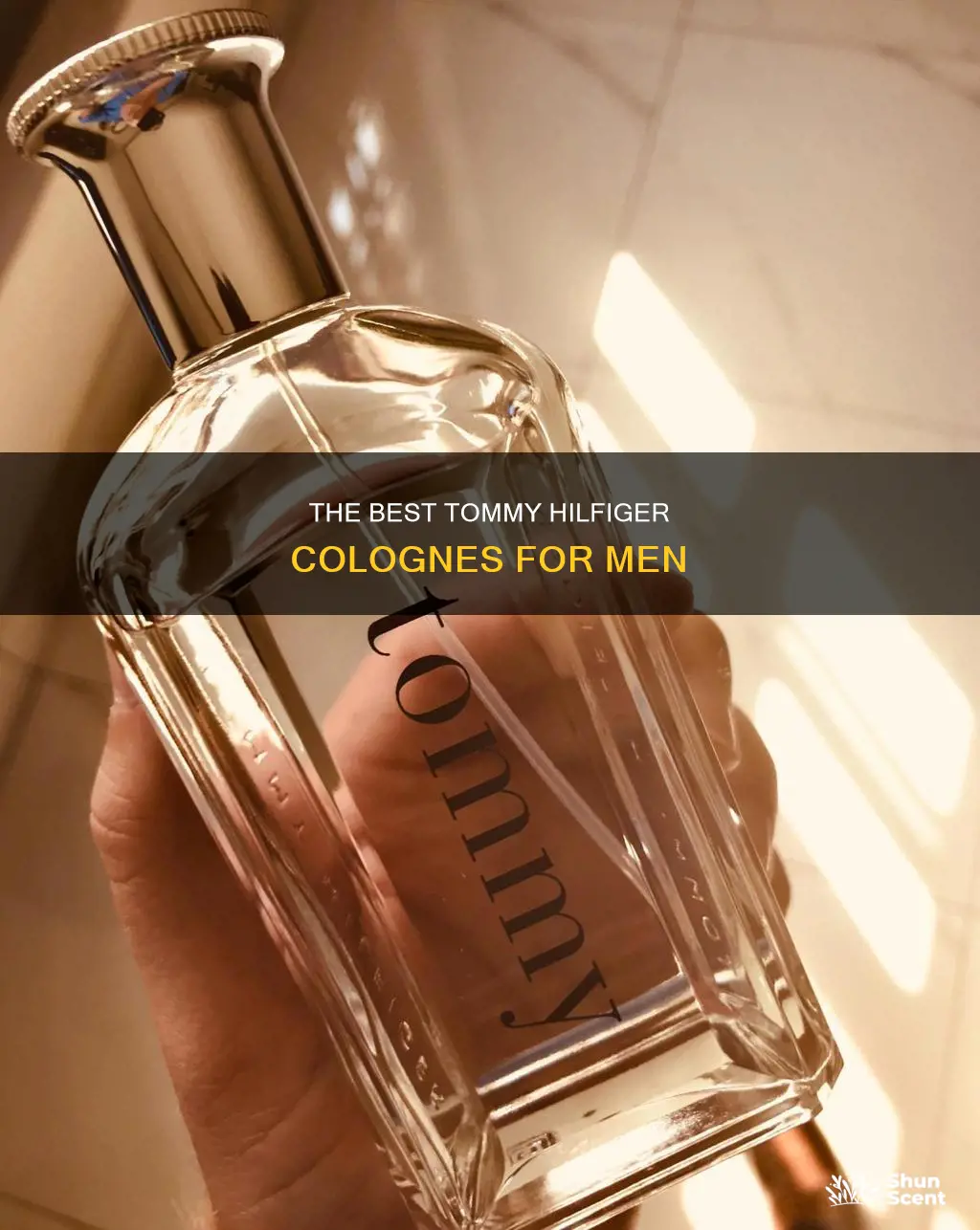 is tommy hilfiger a good cologne