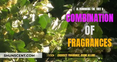 A Fragrant Fusion: Trimming the Tree with Style