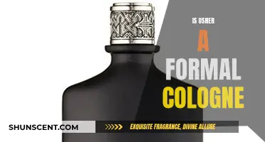 Usher's Cologne: Is It Formal or Fun?