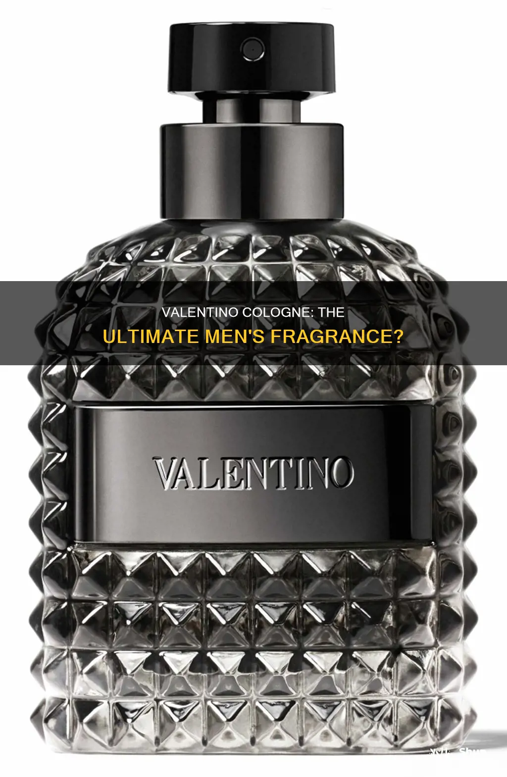 is valentino cologne for men