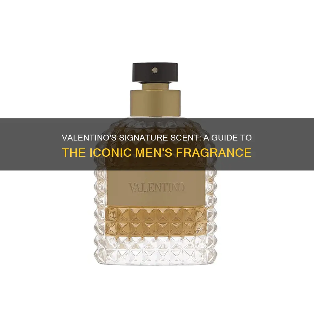 is valentino fragrance for men