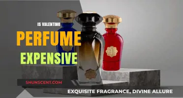 Is Valentino Perfume Worth the Price? A Luxury Scent Analysis