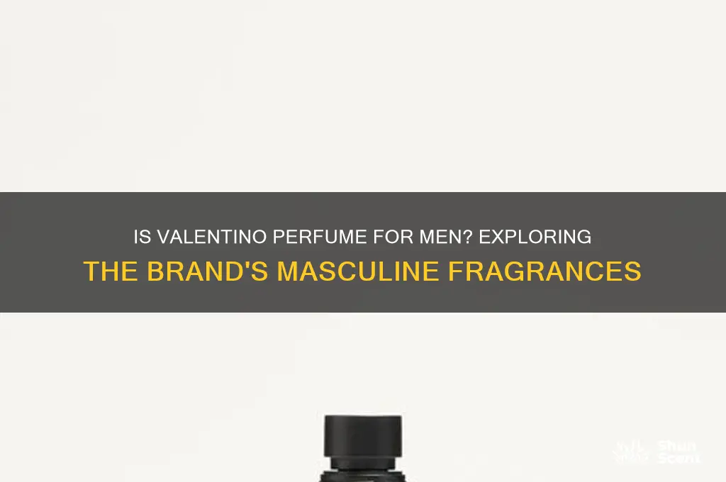 is valentino perfume for men